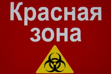 Власти РФ: россияне выезжают в пандемию за границу под личную ответственность