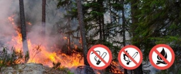 В Калужской области объявили четвертый класс пожарной опасности