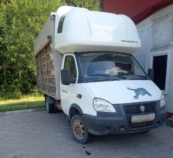 Петрозаводчанин обеспокоен тем, что десятки птиц умирают от жары в фургоне на Кукковке
