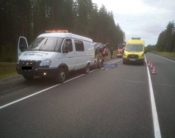Под Медвежьегорском рабочий погиб после столкновения машины дорожной службы и грузовика