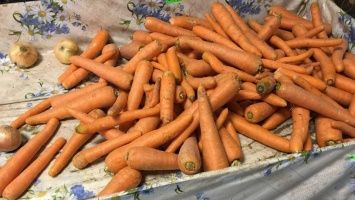 Саратовстат: за три недели морковь подорожала на 18 рублей