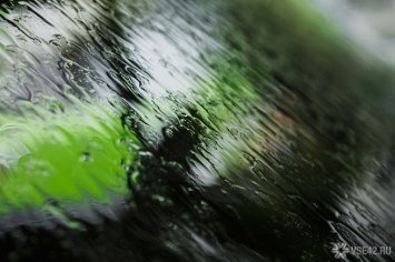 Дожди и грозы сменят жару к концу недели в Кузбассе