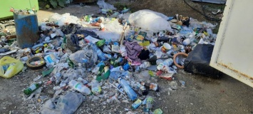 Заполонивший улицу мусор в кузбасском городе возмутил горожанина