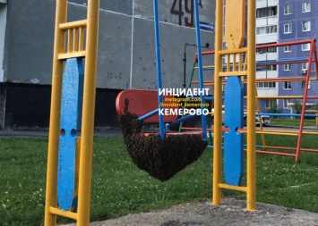 Дикие пчелы заполонили детскую площадку в Кемерове