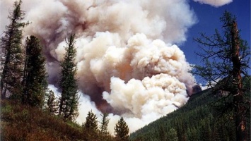 Алтайские пожарные брошены на тушение лесов Якутии