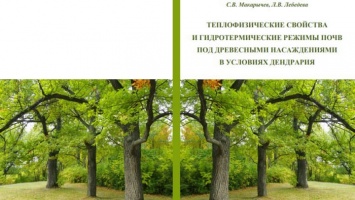 Алтайские ученые рассказали, как надо заботиться о городских деревьях