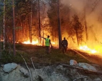 Страшный пожар в Суоярвском районе локализован не без помощи дождя