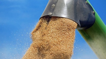 На 20% больше зерна отгрузили в Алтайском крае в июне