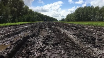 Жители Алтайского края пытаются добиться от властей нормальной дороги вместо «направления» между селами
