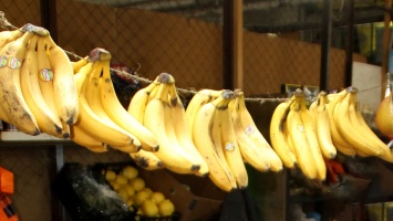 Цены на бананы в России обновили пятилетний рекорд
