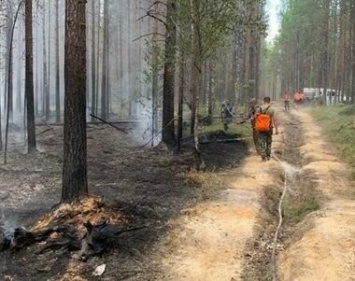 Лес горит рядом с Сямозером, дым в Петрозаводске и Прионежье. Свежие подробности по лесным пожарам