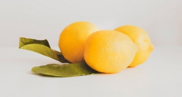 В Алтайском крае обнаружили карантинного вредителя на саженцах лимона из Таджикистана