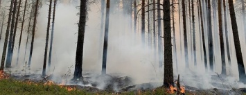 «Колу» перекрыли, в Найстеньярви горели постройки, людей эвакуировали. В Карелии горит уже 4300 га леса