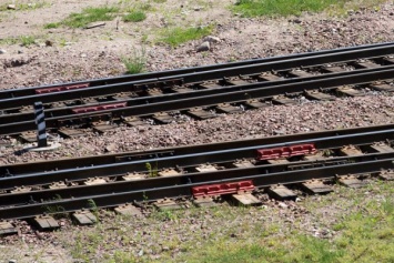 В Черняховском районе грузовой поезд насмерть сбил пенсионерку