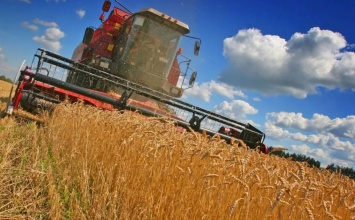30,5 тыс. тонн зерна намолотили хлеборобы Чувашии