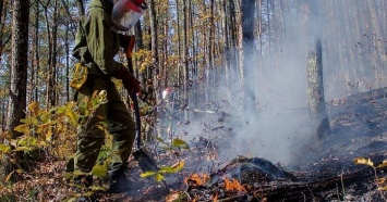 Жителям Краснодарского края ограничили вход в лес