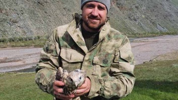 Выращенное в Алтайском крае потомство конфискованных соколов балобанов вернулось в родное гнездо