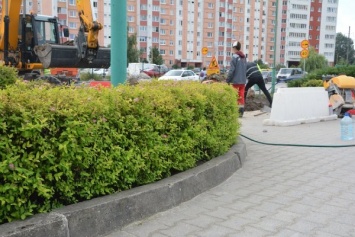 Власти рассказали, когда вдоль дорог Калининграда должно появиться «зеленое» ограждение