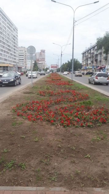 Мэрия назвала стоимость «картофельного» озеленения на улице Молодежной в Барнауле
