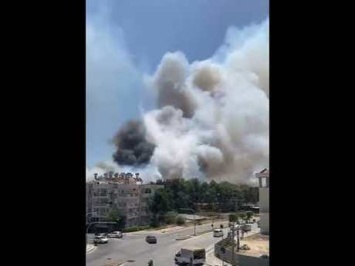 Люди в Анталье пострадали из-за крупного лесного пожара