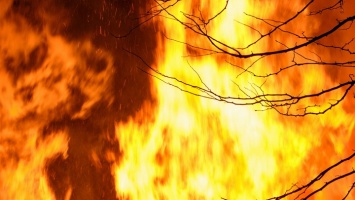 38 пожаров потушили за сутки в Алтайском крае