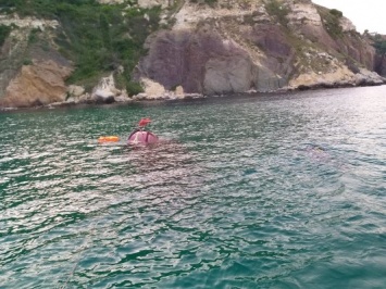 У берегов Крыма из-за медузы затонуло судно: что уже известно, - ФОТО