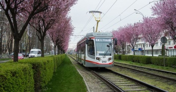 В Краснодаре трамвай № 4 на три дня сократит время работы