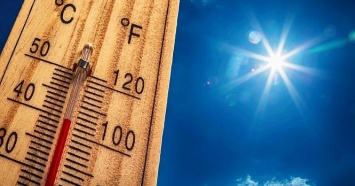 Пекло не отступит: Росгидромет предупредил о 40-градусной жаре на Кубани до 4 августа