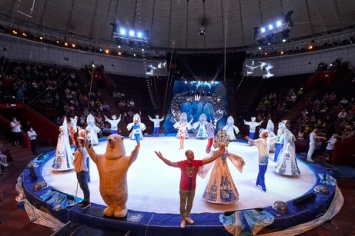 "Айсберг": волшебство на арене кемеровского цирка