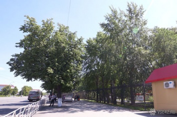 Кемеровские власти прокомментировали "ошарпанное" состояние Комсомольского парка