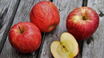 На Алтай пытались ввезти более 20 тонн санкционных яблок