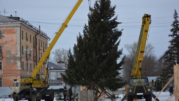 В Рубцовск привезли 12-метровую новогоднюю ель с шишками
