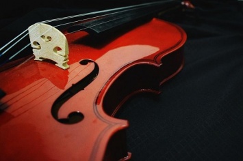 Бетховен против ожирения: Ученые назвали жанры целебной музыки