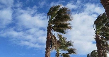 Опасная погода: в Сочи ожидается ветер близкий к урагану