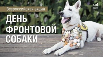 В Алтайском крае пройдет День фронтовой собаки