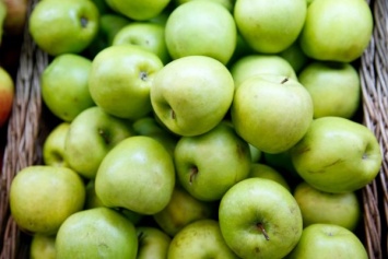 Производители фруктов просят правительство РФ ограничить импорт