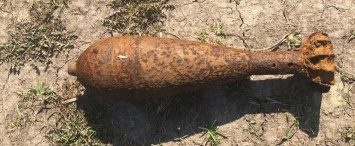В Калужской области обнаружили мины