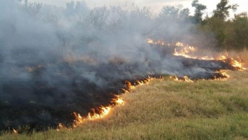 Максимальная пожарная опасность ожидается в лесах Ульяновской области