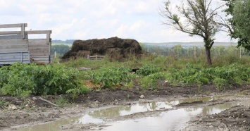 В Новороссийске ущерб аграриев от стихии составил около 240 млн рублей