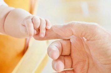 Минтруд РФ уточнил правила получения маткапитала для отцов с детьми от суррогатных матерей