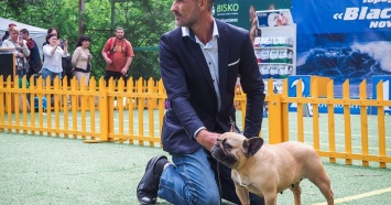 Всероссийская выставка собак Dog Picnic пройдет в Абрау-Дюрсо