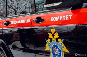 Хабаровский суд арестовал мужчину за попытку задушить трехлетнего сына