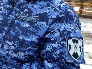 Безопасность образовательных учреждений проверили в Ульяновске сотрудники вневедомственной охраны Росгвардии