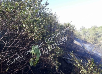 В Пугачеве пришедший из оврага огонь уничтожил хозпостройки. Выгорел целый гектар
