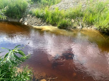 Кузбасские золотодобытчики слили в реку грязь вместо рыбы