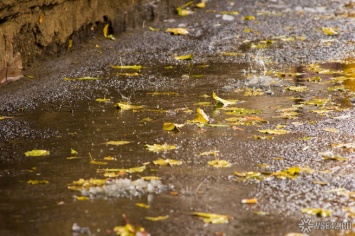 Синоптики рассказали о сентябрьских дождях в Кузбассе