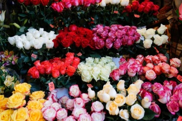 Областные власти закупают для своих нужд цветы на 1 млн рублей