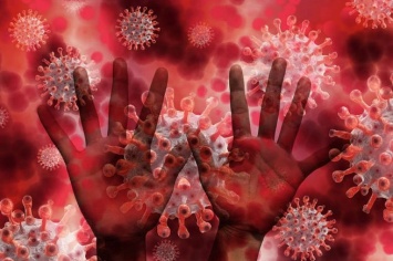 Более 10 человек в Индии заразились неизлечимой смертельной инфекцией