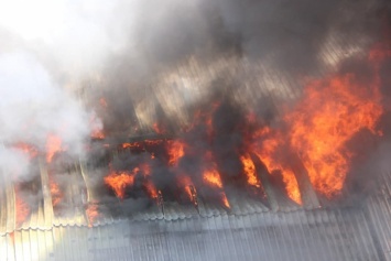 Трагедия в Балашове. На пожаре погиб оставленный в доме 3-летний ребенок