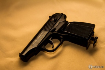 Собутыльник украл у кемеровчанки пистолет
